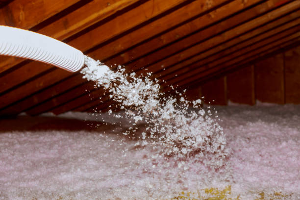 Best Eco-Friendly Insulation in Garland, TX