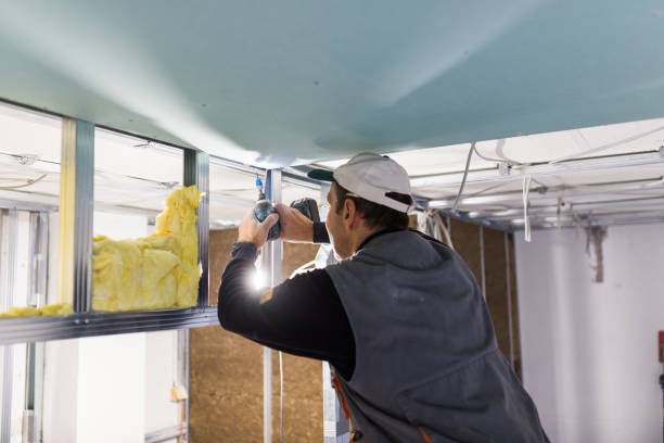 Best Geographic-Specific Insulation Services in Garland, TX
