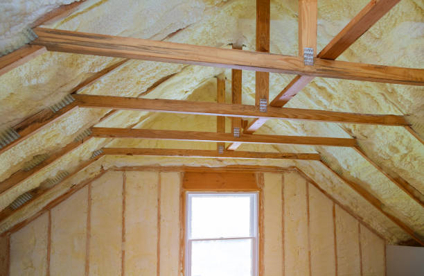 Best Insulation Maintenance and Repair in Garland, TX