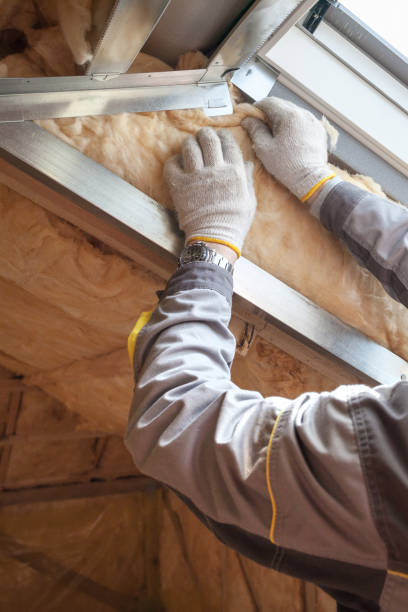 Professional Insulation Contractor in Garland, TX