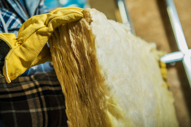 Best Residential Insulation in Garland, TX