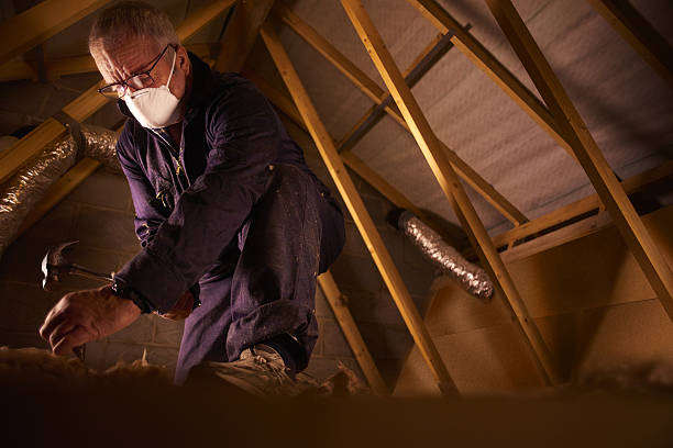 Best DIY Insulation Kits and Guidance in Garland, TX