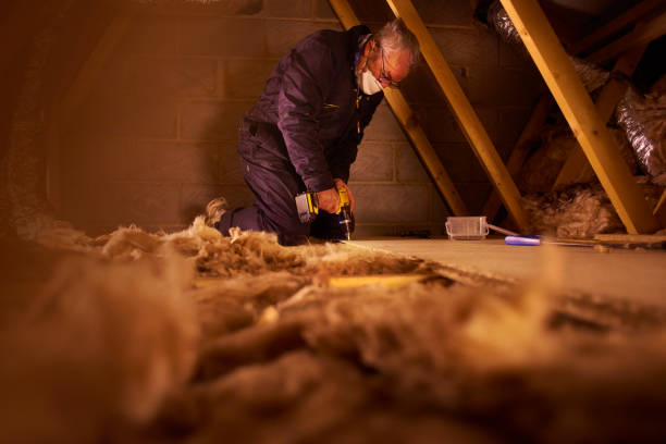 Types of Insulation We Offer in Garland, TX