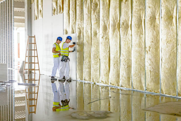 Best Blown-in Insulation in Garland, TX